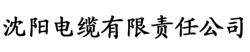 音色短视频ios电缆厂logo